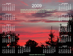 Annual 2009 Calendar