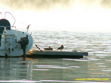 PICT0062