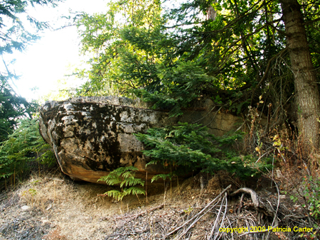 PICT0054