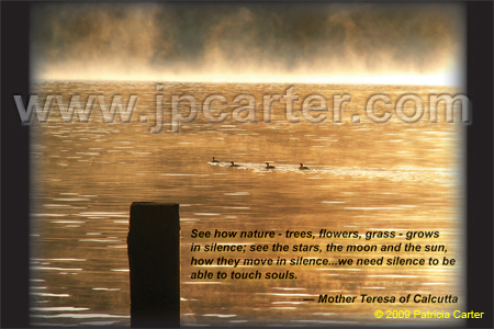 2009Postcards-10