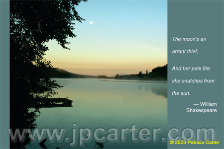 2009Postcards-5