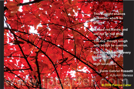2009Postcards-6