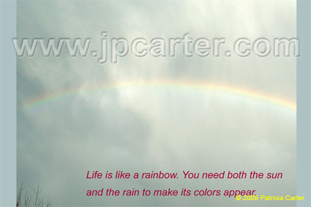 2009Postcards-9