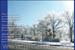 2009Postcards-3